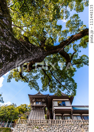 諏訪神社 【長崎市】 諏訪神社 【長崎市】 111448135