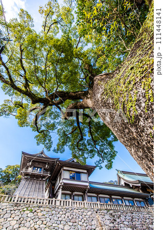 諏訪神社 【長崎市】 諏訪神社 【長崎市】 111448141