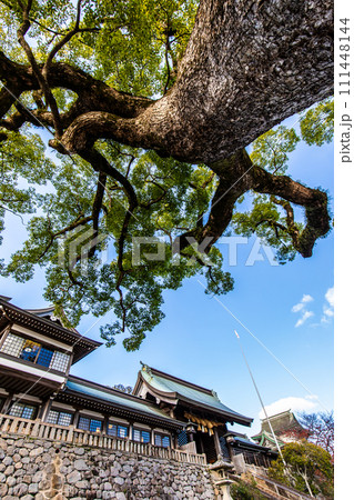 諏訪神社 【長崎市】 諏訪神社 【長崎市】 111448144