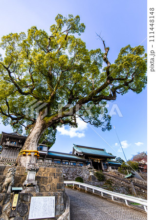 諏訪神社　【長崎市】 111448148