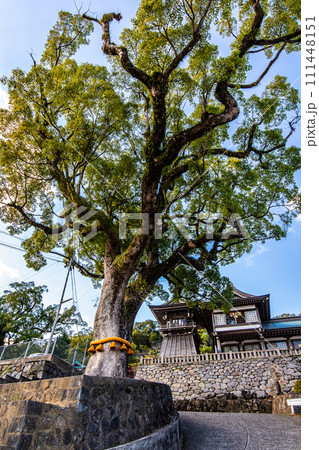 諏訪神社 【長崎市】 諏訪神社 【長崎市】 111448151