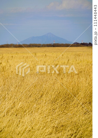 東京都民の命と財産を守る渡良瀬遊水地です。 東京都民の命と財産を守る渡良瀬遊水地です。 111448443