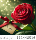 birthday concept with red roses in gift on bokeh background 111448516