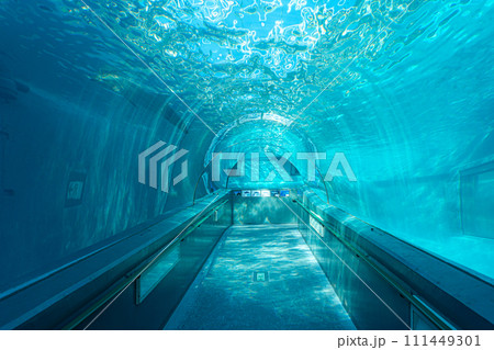 太地町立くじらの博物館 111449301