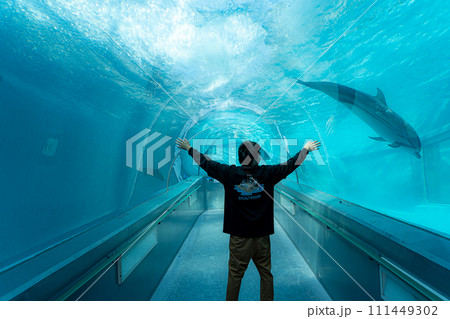 太地町立くじらの博物館 111449302