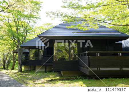 森の中のログハウス、新緑のキャンプ場、キャンプ場の宿泊施設、森林のロッジ 111449357