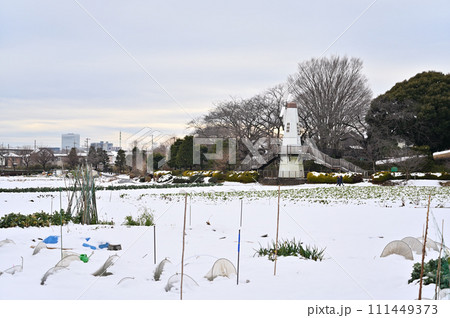 大雪のさいたま市の風景 見晴公園 埼玉県(さいたま新都心、大宮、大和田、方面) 大雪のさいたま市の風景 見晴公園 埼玉県(さいたま新都心、大宮、大和田、方面) 111449373