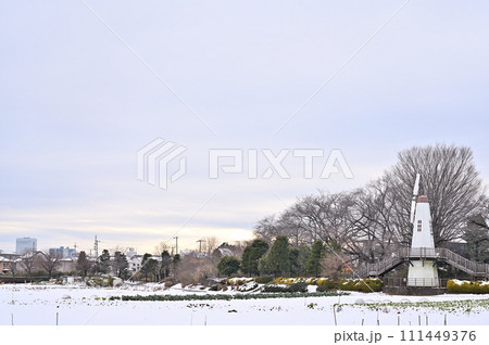大雪のさいたま市の風景 見晴公園 埼玉県(さいたま新都心、大宮、大和田、方面) 大雪のさいたま市の風景 見晴公園 埼玉県(さいたま新都心、大宮、大和田、方面) 111449376