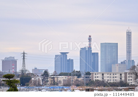 大雪のさいたま市の風景　埼玉県（さいたま新都心、大宮、大和田、方面） 111449485