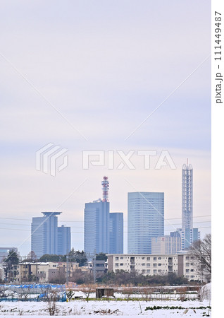 大雪のさいたま市の風景　埼玉県（さいたま新都心、大宮、大和田、方面） 111449487