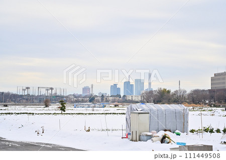 大雪のさいたま市の風景　埼玉県（さいたま新都心、大宮、大和田、方面） 111449508
