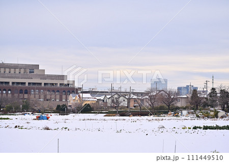 大雪のさいたま市の風景　埼玉県（さいたま新都心、大宮、大和田、方面） 111449510
