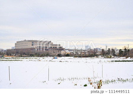 大雪のさいたま市の風景　埼玉県（さいたま新都心、大宮、大和田、方面） 111449511