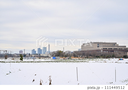 大雪のさいたま市の風景　埼玉県（さいたま新都心、大宮、大和田、方面） 111449512