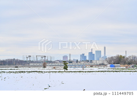 大雪のさいたま市の風景　東武野田線　埼玉県（さいたま新都心、大宮、大和田、方面の風景） 111449705