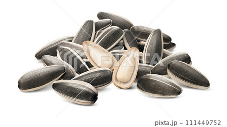 Sunflower seeds pile with two open seeds in the middle isolated on white background Sunflower seeds pile with two open seeds in the middle isolated on white background 111449752