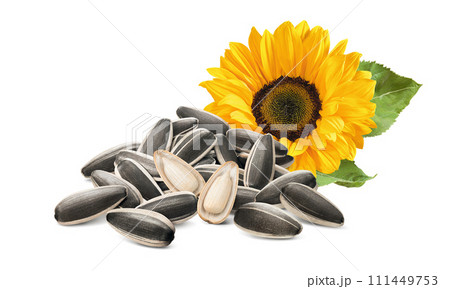 Sunflower seeds pile with two open seeds and flower in the corner on white background Sunflower seeds pile with two open seeds and flower in the corner on white background 111449753