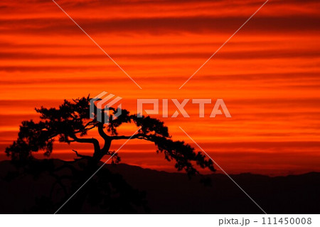 鳥取県大山町の大山から見える日本海に沈む夕日と松のシルエット 鳥取県大山町の大山から見える日本海に沈む夕日と松のシルエット 111450008