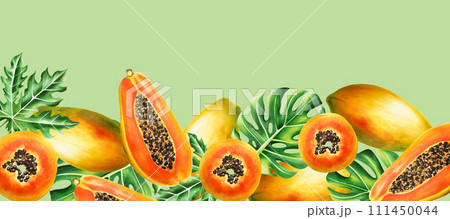 Marker frame, banner, template border with sweet ripe slice of papaya with grains, tropical leafs, monstera in watercolor style. Hand drawn realistic tasty organic illustration of exotic tropical Marker frame, banner, template border with sweet ripe slice of papaya with grains, tropical leafs, monstera in watercolor style. Hand drawn realistic tasty organic illustration of exotic tropical 111450044