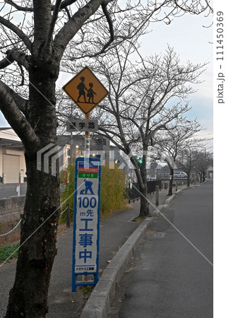 通学路の標識と道路工事の看板と冬の桜並木(縦構図) 通学路の標識と道路工事の看板と冬の桜並木(縦構図) 111450369