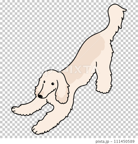 手繪插畫簡單可愛的阿富汗獵犬邀請你一起玩,主線 手繪插畫簡單可愛的阿富汗獵犬邀請你一起玩,主線 111450589