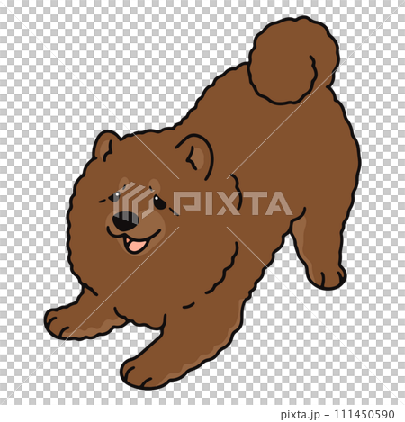 A simple and cute hand-drawn illustration of a chow chow that invites you to play, with main lines A simple and cute hand-drawn illustration of a chow chow that invites you to play, with main lines 111450590