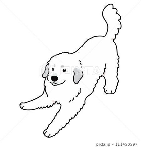 遊びに誘うシンプルで可愛いグレートピレニーズの手描きのイラスト　主線あり 111450597