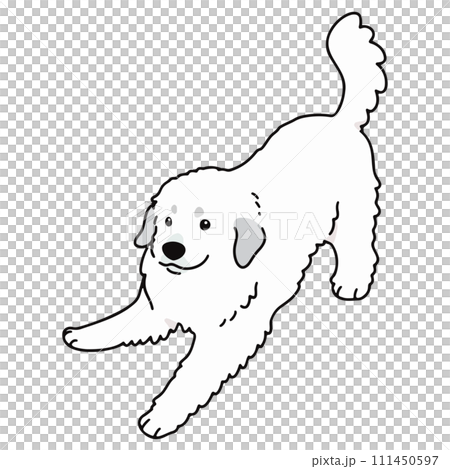 A simple and cute hand-drawn illustration of a Great Pyrenees that invites you to play, with main lines 111450597