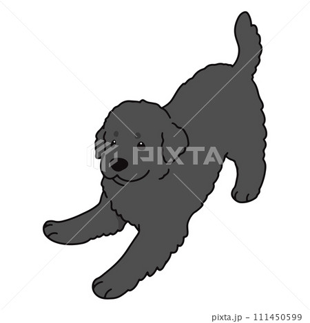 遊びに誘うシンプルで可愛いニューファンドランドの手描きのイラスト　主線あり 111450599