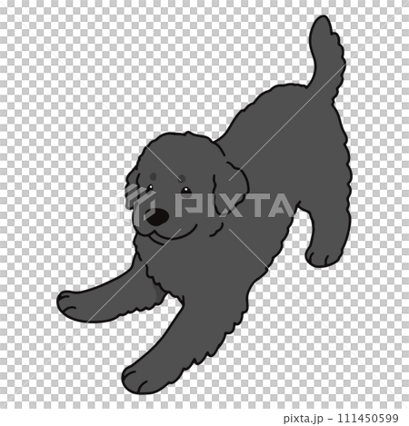 遊びに誘うシンプルで可愛いニューファンドランドの手描きのイラスト　主線あり 111450599