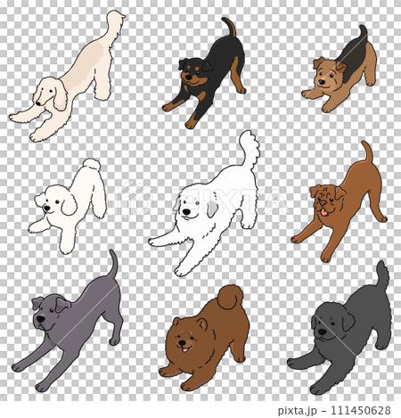 邀請你一起玩的簡單可愛的狗狗插畫集G 111450628