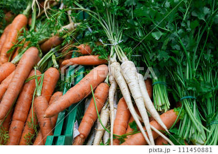 Fresh carrot with celery in the grocery store. fresh vegetables 111450881