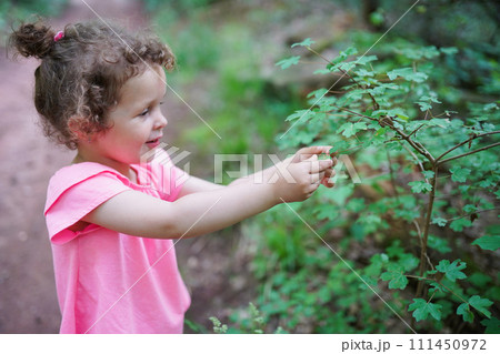 child holds a green leaf in her hands during walking in the forest. Protect nature concept. Kid child holds a green leaf in her hands during walking in the forest. Protect nature concept. Kid 111450972