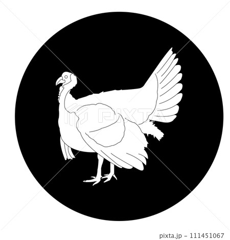 Turkey icon 111451067