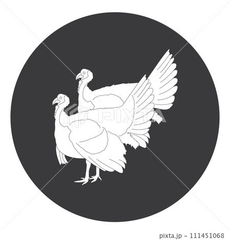 Turkey icon 111451068