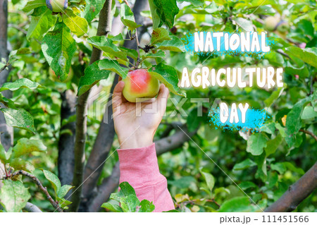 National Agriculture Day With the Bounty of Natures Harvest National Agriculture Day With the Bounty of Natures Harvest 111451566