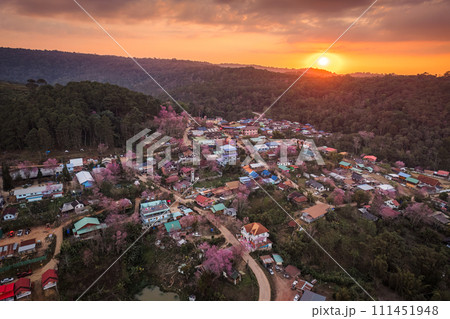 Sunset over Thai tribe village with wild himalayan cherry tree blooming in countryside at Ban Rong Kla Sunset over Thai tribe village with wild himalayan cherry tree blooming in countryside at Ban Rong Kla 111451948