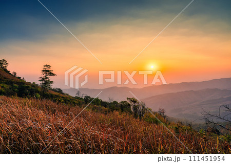 Sunrise over mountain in tropical rainforest at Phu Lom Lo, Phu Hin Rong Kla national park Sunrise over mountain in tropical rainforest at Phu Lom Lo, Phu Hin Rong Kla national park 111451954