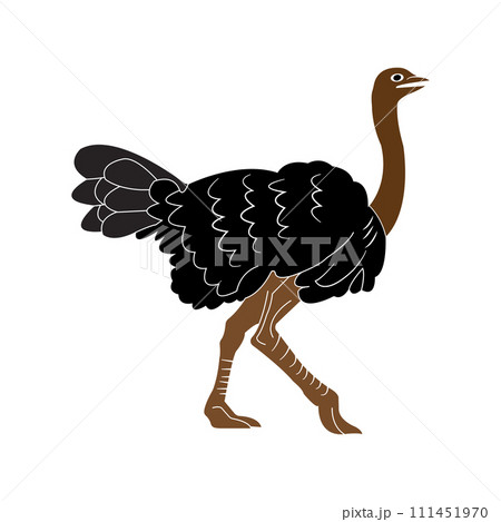 Ostrich icon Ostrich icon 111451970
