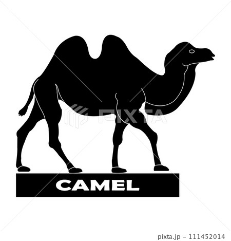 Camel logo 111452014