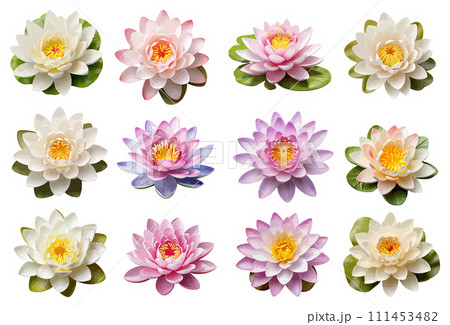 Water lily vector set isolated on white background 111453482