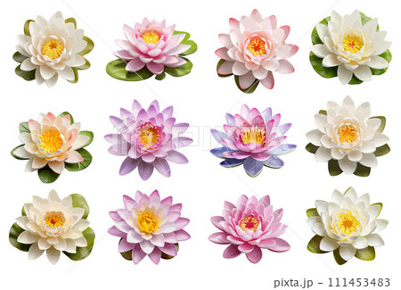 Water lily vector set isolated on white background 111453483