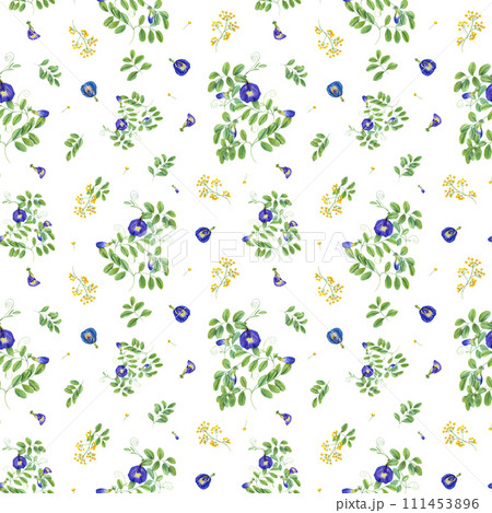 Blue and yellow flowers with green leaves. Seamless pattern of Thai flowers. Butterfly pea flowers. Tropical plant, Ipomoea, clitoria ternatea, bluebellvine. Watercolor illustration 111453896
