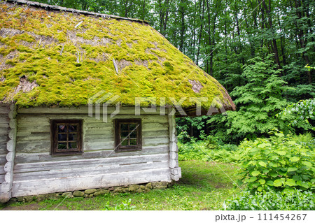 Wooden ethnic house with thatched roof. Halych Ethnography museum, Ukraine. 111454267