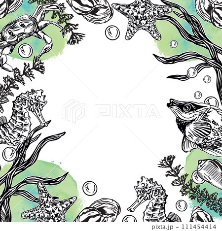 Marine frame. Graphic. Crab, fish, starfish, shells. Illustration with spot on the background. Cards, covers, nautical posters, banners, packaging. Marine frame. Graphic. Crab, fish, starfish, shells. Illustration with spot on the background. Cards, covers, nautical posters, banners, packaging. 111454414