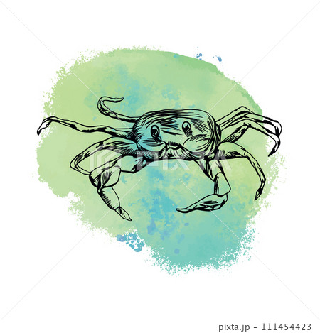 Crab graphics. Vector illustration with sea stain on background. Design element for cards, covers, posters, banners, packaging, labels. Crab graphics. Vector illustration with sea stain on background. Design element for cards, covers, posters, banners, packaging, labels. 111454423