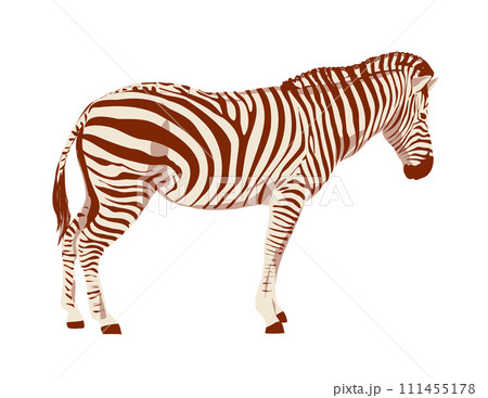 Plains Zebra Side View Isolated Background WPA Art 111455178