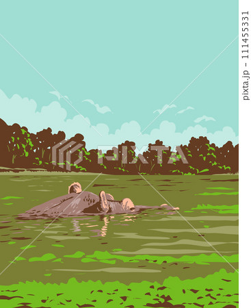 Hippopotamus in Loango National Park Gabon in Central Africa Art Deco WPA Poster Art 111455331