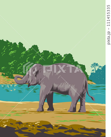 Indian Elephant in Mahanadi Elephant Reserve in Odisha India Art Deco WPA Poster Art Indian Elephant in Mahanadi Elephant Reserve in Odisha India Art Deco WPA Poster Art 111455335