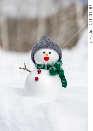 白樺の林と雪だるま 白樺の林と雪だるま 111455467